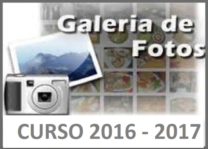 galeria 2016-17